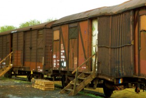 PATATERS Güterwaggon